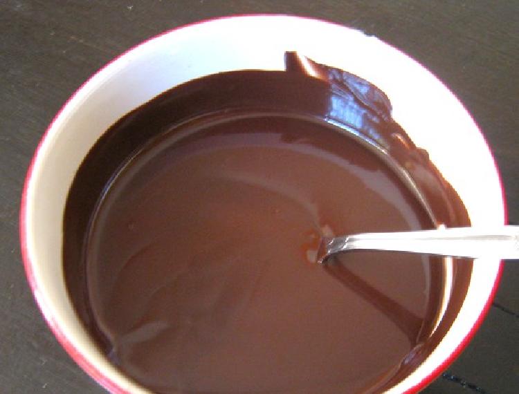 Salsa de chocolate (charlotte)