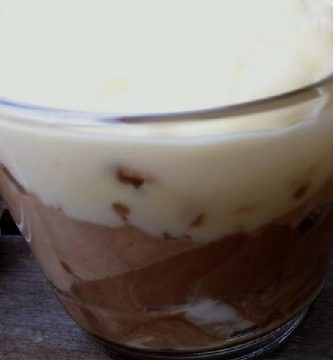 Mousse de ciruelas