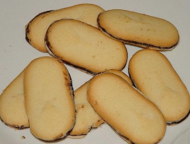 lenguas de gato