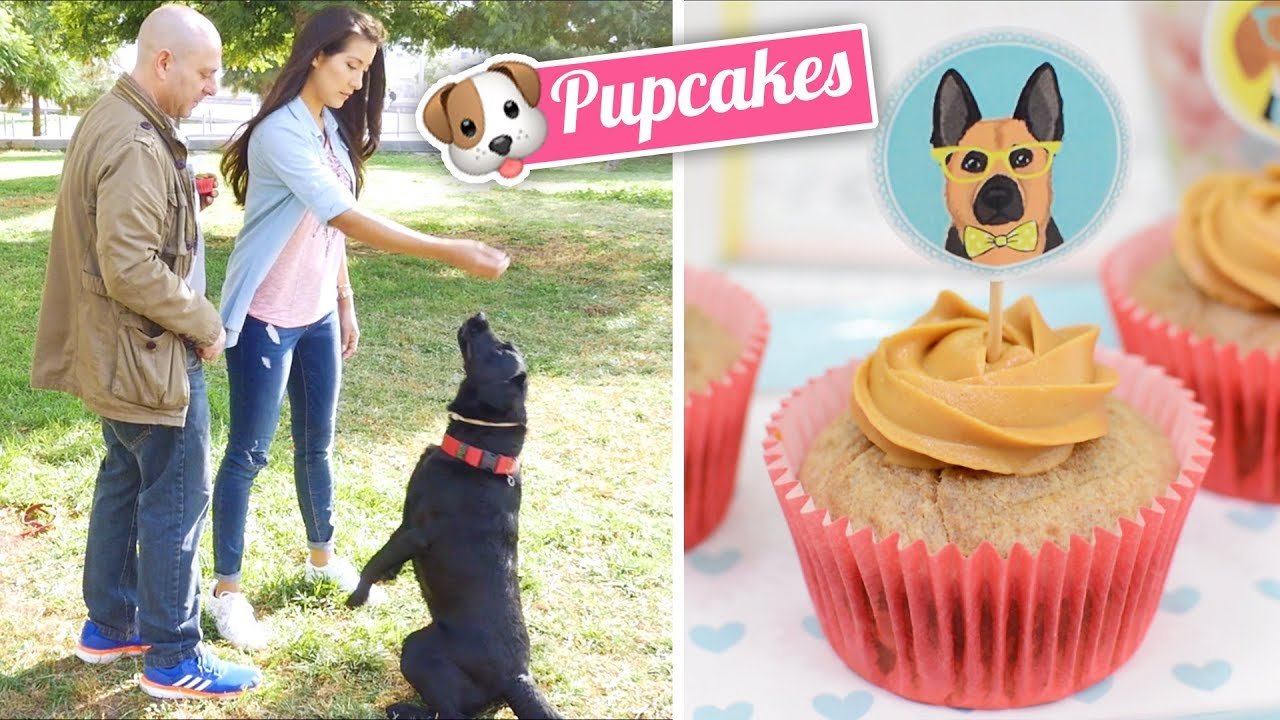 Cupcakes para perros o "pupcakes"